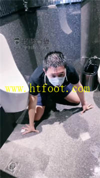 t313t1bs1r2.jpg