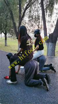 fl5tm23pzo1.jpg