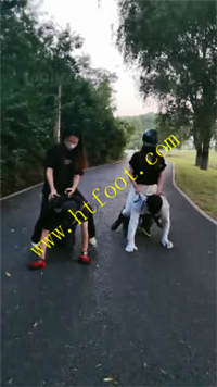 5wt0wdluxpe.jpg