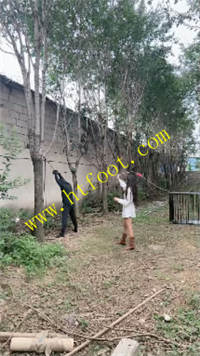 vo032alyj5f.jpg