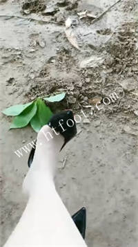 hvxunlvx0gn.jpg