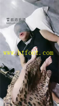 tvy34tdfwkp.jpg