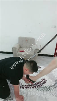 t1f54wg5qpg.jpg