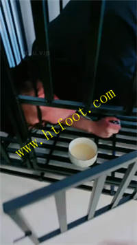 loiy0hh3uv5.jpg