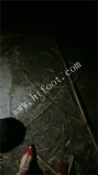 wkfl50qaeym.jpg
