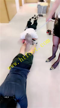 bzerq2tbpcr.jpg