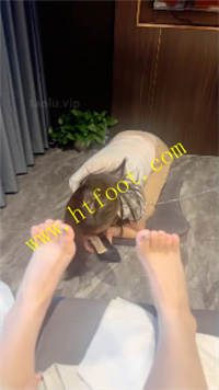 1wiwmcuf1o0.jpg