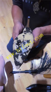 miw1cvcrsus.jpg