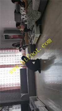 rwf1dmmozmm.jpg