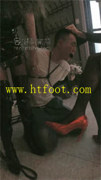i3t4fvf12bw.jpg