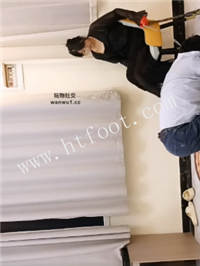 eo543fw4wnf.jpg