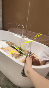 uy50gwoaa4j.jpg