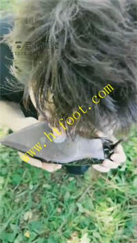 o4w0pldp5je.jpg