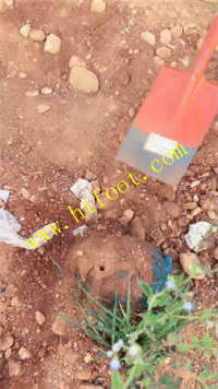 utm4hu3qy20.jpg