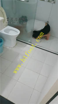 hoyaebie4nu.jpg
