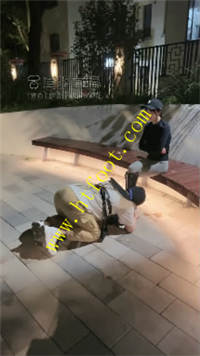 krdrnpb2bm1.jpg