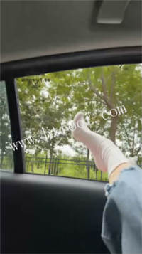 mv0el0qfudg.jpg