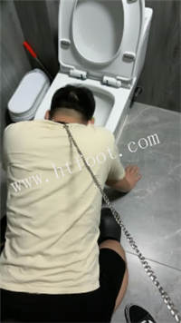 lsgsa12jvws.jpg