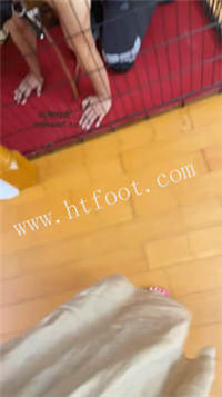 ff3ctoz23b0.jpg