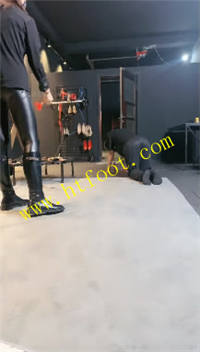 pf02xcpd3hh.jpg