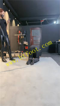zel50mmf1up.jpg