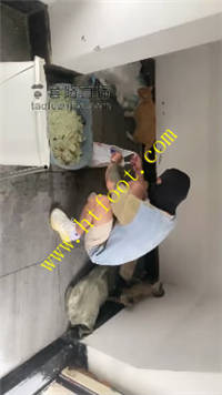 ujyu45kwcyd.jpg