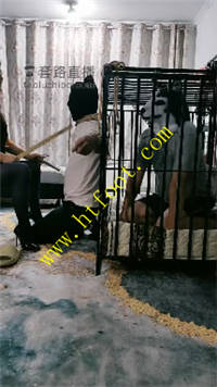 fdb3kgmqldj.jpg