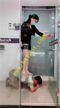 pmahjpalprt.jpg