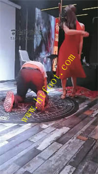 41oyuh1xzfo.jpg