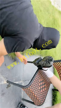 sammixz4dzc.jpg