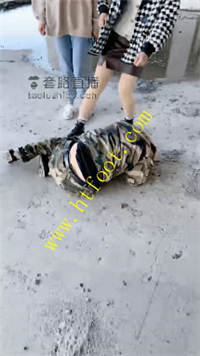 i0ryuiivie5.jpg