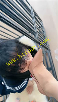 k445vo2vvmv.jpg