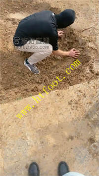 djefcu2d4tg.jpg