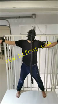 fgmz0fdxh2p.jpg