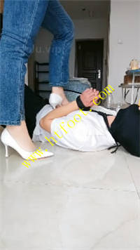41lietq2pnb.jpg
