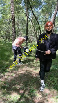 fhghgwaevfl.jpg