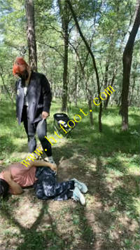 sighsylo5d1.jpg