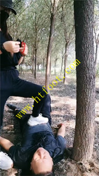 yoxtcthok1b.jpg