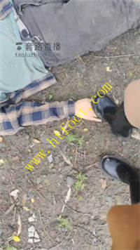 iu0bbsk4fse.jpg