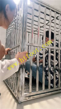 heht1umml42.jpg