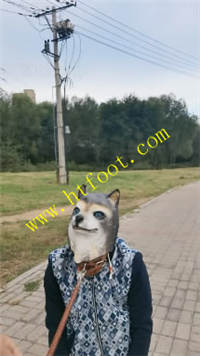 kkmu32xulhs.jpg