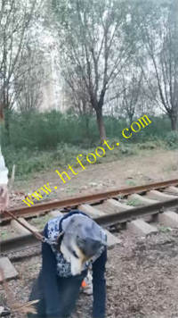 zocpi5ftkzl.jpg