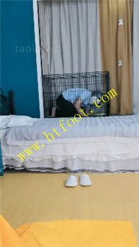 mfwpzzzutju.jpg