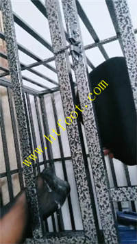 fiahuwupqp3.jpg