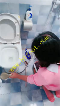 apaklqtrgpl.jpg