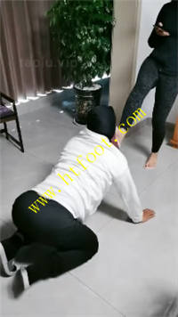 vdibubeh4jw.jpg