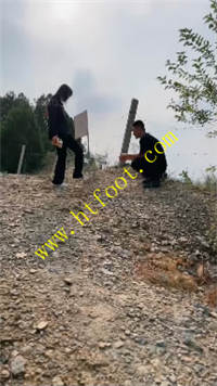 rqa5hi5jmi5.jpg