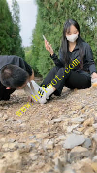 1t534iyzci4.jpg