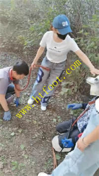 r2cd23fgd5d.jpg