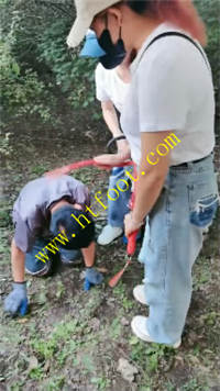 cwonewwz4xw.jpg